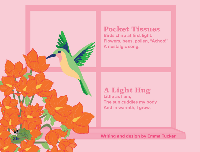 Collection of Emma Tucker's Writing and Design